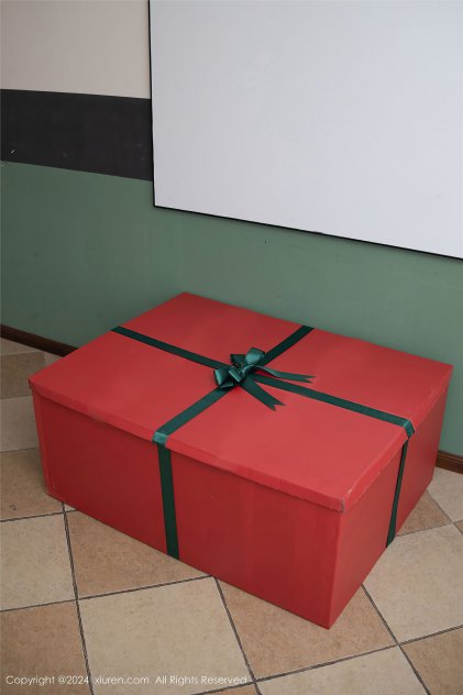 2021免费对白毛片视频海报